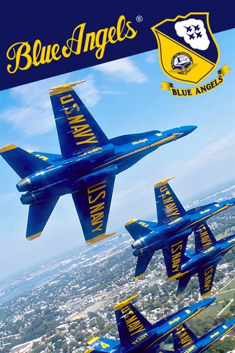  Blue Angels Aerobatic Flight Simulator Xbox активация