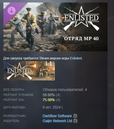 Enlisted - MP 40 Squad АВТОДОСТАВКА STEAM РОССИЯ