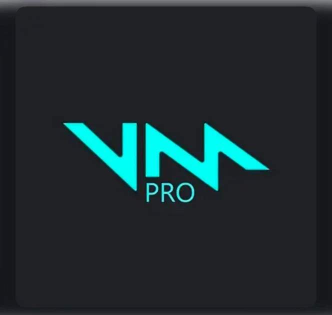 VOICEMOD PRO 1 Month Official License Key |Fast Deliver