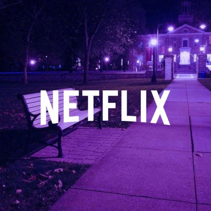 Netflix Premium – 1 Month | Private Profile + PIN | 4K