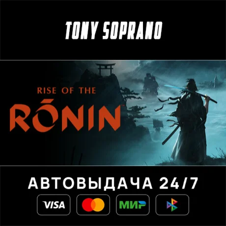 Rise of the Ronin