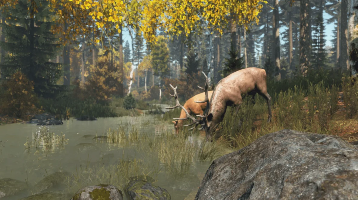 DayZ XBOX ONE XBOX SERIES X / S Key