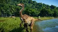 Jurassic World Evolution  Xbox — фото 5