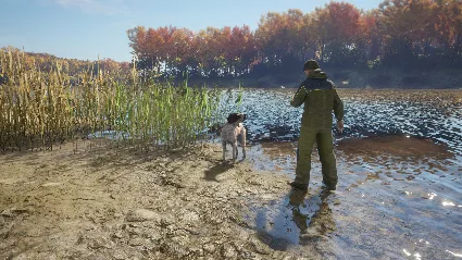 theHunter: Call of the Wild - German Shorthaired Pointe