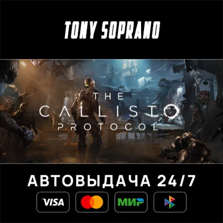 The Callisto Protocol STEAM GIFT