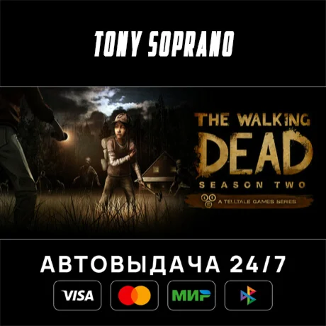 The Walking Dead STEAM GIFT