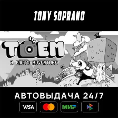TOEM STEAM GIFT