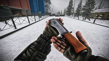 Escape from Tarkov: BEAR - Senezh ✅ STEAM GIFT AUTO ✅ RU+МИР