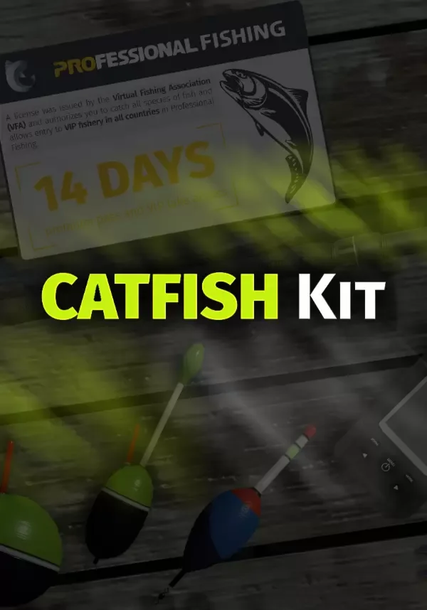 (DLC) Professional Fishing: Catfish Kit Все страны