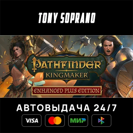 Pathfinder: Kingmaker — Enhanced Plus Edition STEAM GIF