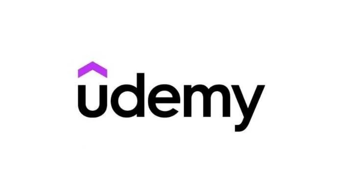 Udemy Business 1/3/6 months - log in via cookies file