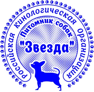 Шаблон печати 