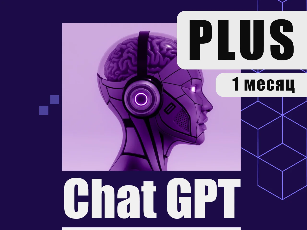 OpenAI  "ChatGPT PLUS", Subscription 1 month.