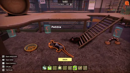 Animal Shelter 2 - Little Friends DLC ✅ STEAM GIFT AUTO ✅ RU+МИР