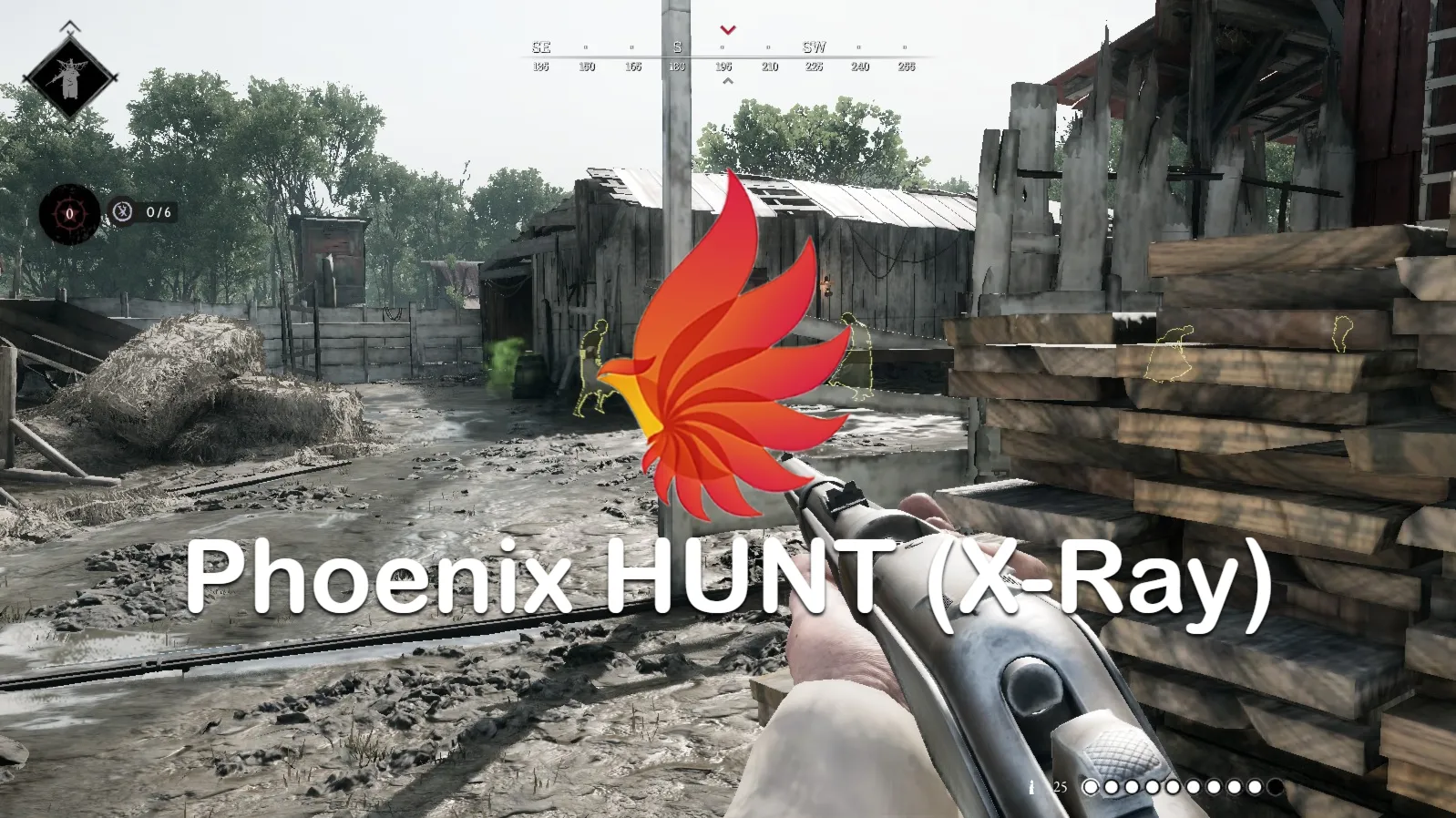 Phoenix HUNT (X-Ray)