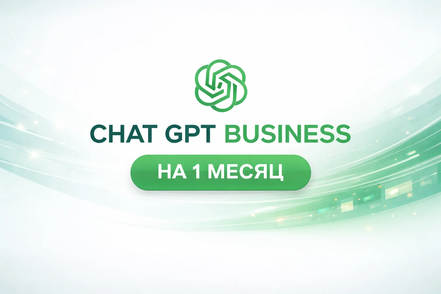 BUSINESS PLUS 1 MONTH / INVITATION WITHOUT LOGIN