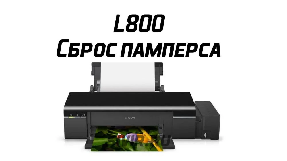 Сброс Epson L800