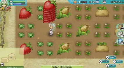 Rune Factory 4 Special | Nintendo Switch 1/2