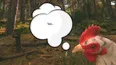 Catch the Chiken (STEAM KEY/REGION FREE)