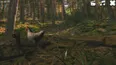 Catch the Chiken (STEAM KEY/REGION FREE)