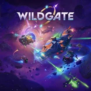 Wildgate Epic Games Account