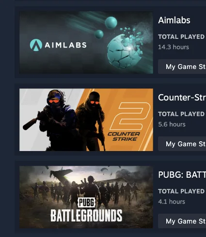 STEAM • CS2 • Cyberpunk 2077 • PUBG • Wallpaper Engine