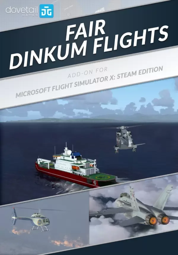 (DLC) Microsoft Flight Simulator X: Steam Edition: Fair