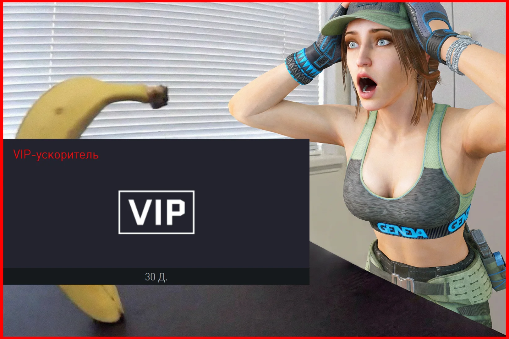 Regular VIP booster for 30 days | regular VIP booster