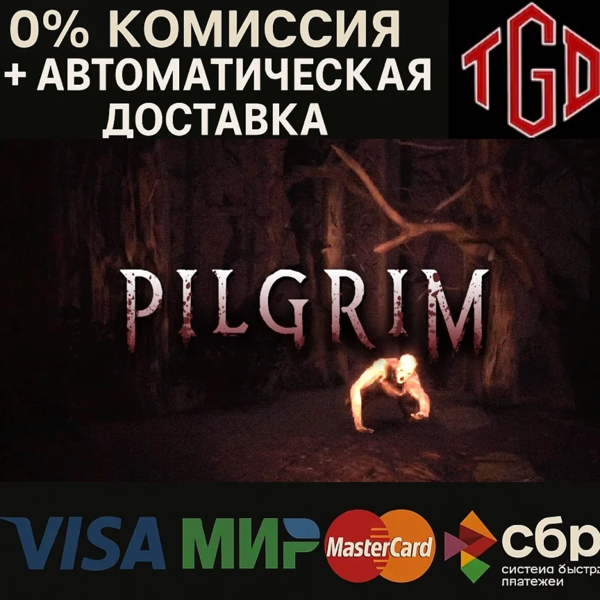  PILGRIM | Steam Россия 