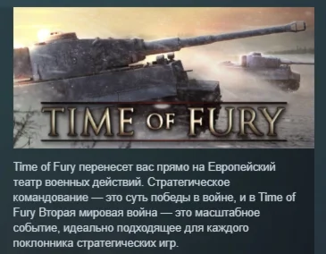 Time of Fury АВТОДОСТАВКА STEAM GIFT РОССИЯ