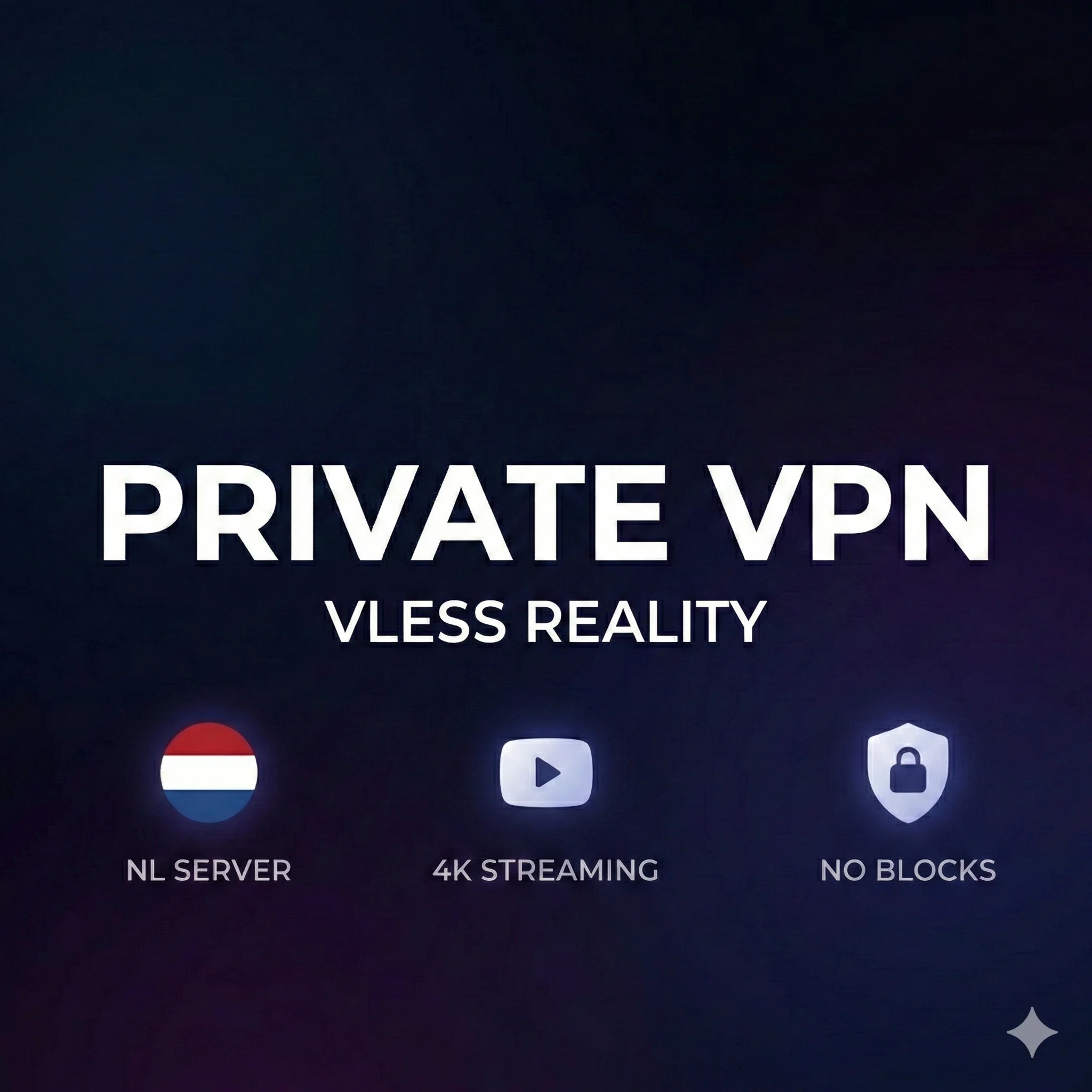 ЛИЧНЫЙ VPN | 🇳🇱 НИДЕРЛАНДЫ | VLESS REALITY