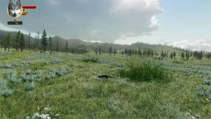 WolfQuest Anniversary - Tower Fall ✅ STEAM GIFT AUTO ✅ RU+МИР