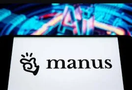 Manus AI - 1 год в почтовой рассылке | $240