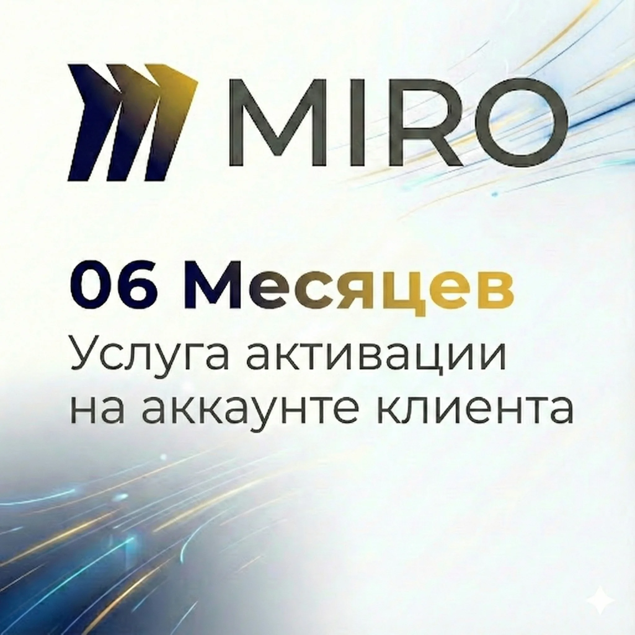 Miro Pro EDU | 6 Months — Activate on Your Account