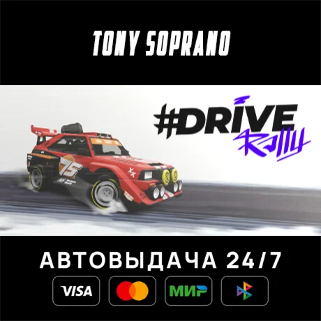 #DRIVE Rally STEAM GIFT