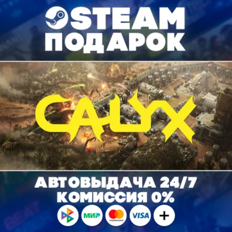 Calyx/МИР/АВТО