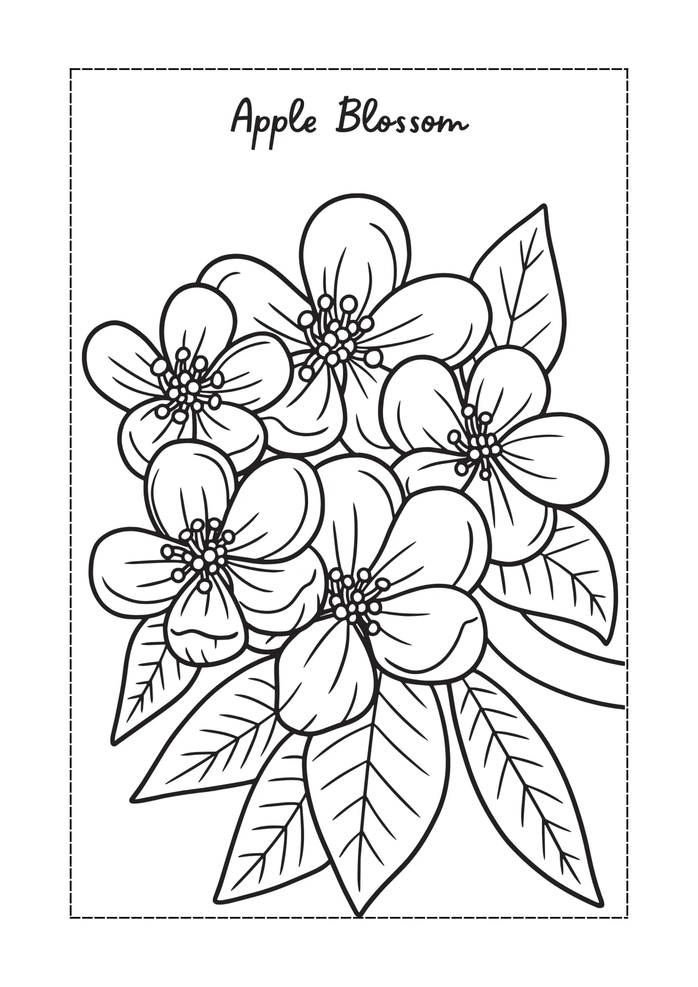 Flower Coloring Book → 47 Pages (PDF)