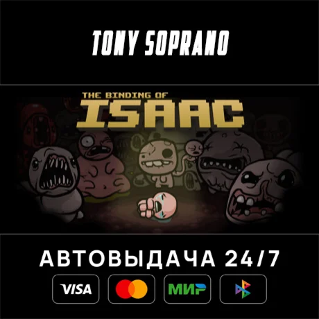 The Binding of Isaac STEAM GIFT
