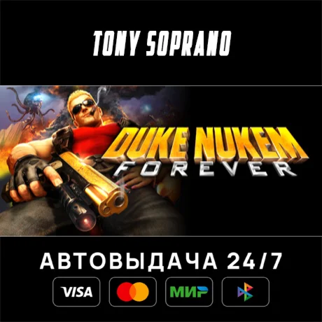 Duke Nukem Forever STEAM GIFT