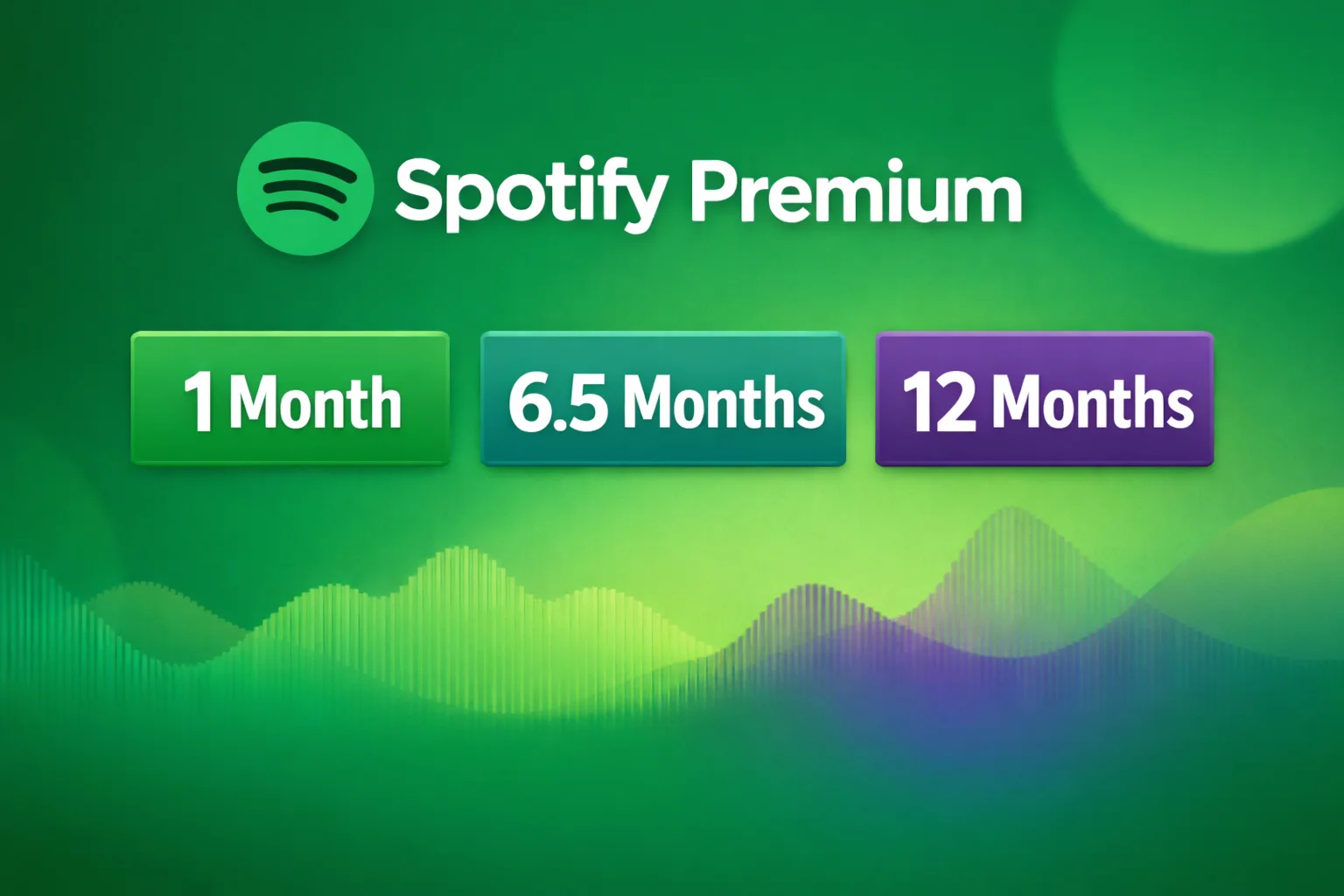 Spotify Premium Subscription