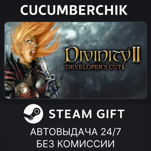 Divinity II Developer's CutSTEAM GIFT AUTORU+МИР