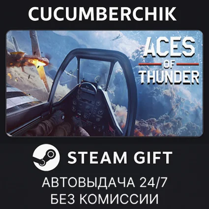 Aces of Thunder ✅ STEAM GIFT AUTO ✅ RU+МИР