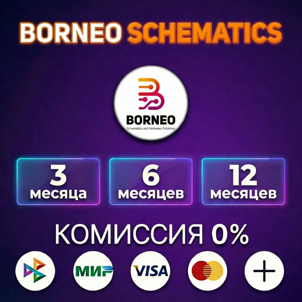 Borneo Schematics лицензия 3, 6, 12 месяцев