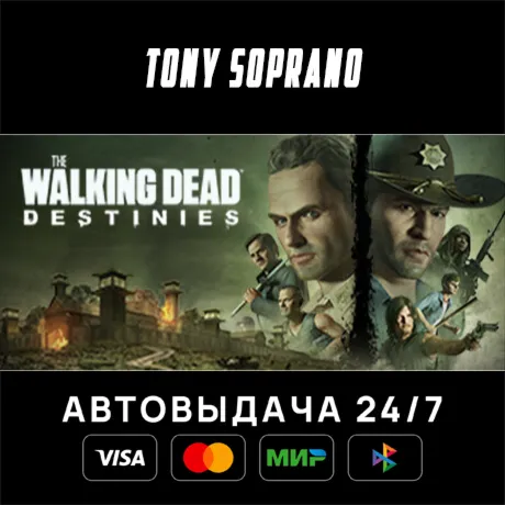 The Walking Dead: Destinies STEAM GIFT