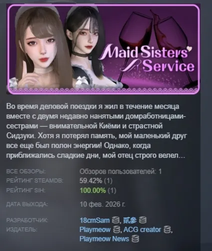 Услуги Сестер-Служанок АВТОДОСТАВКА STEAM РОССИЯ