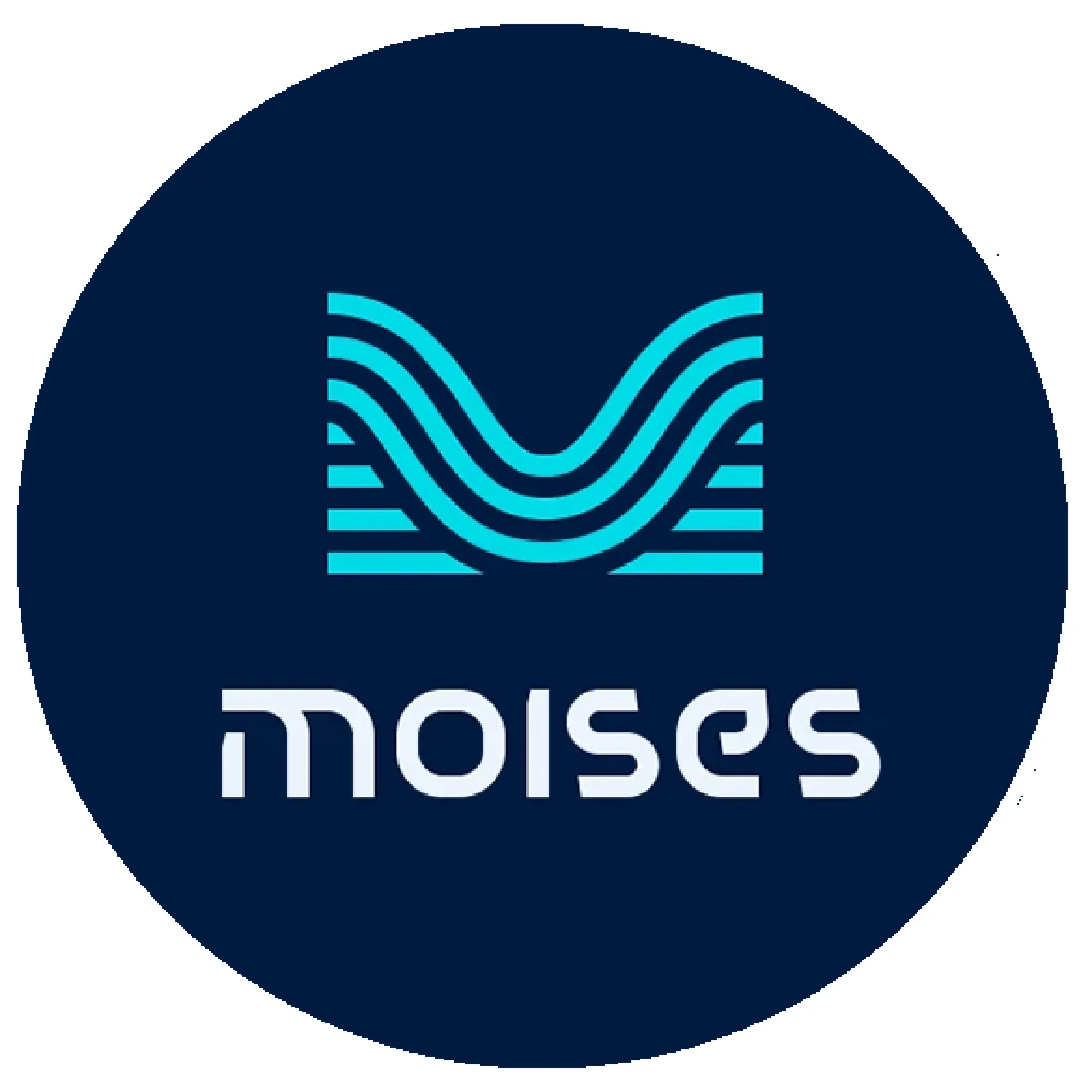 Moises Premium | Подписка на 1–12 месяцев для вашего аккаунта