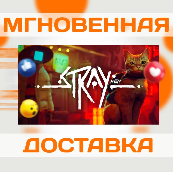 STRAY \ US \ NINTENDO SWITCH \ КЛЮЧ
