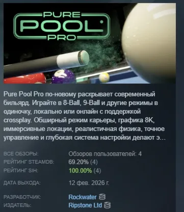 Pure Pool Pro АВТОДОСТАВКА STEAM РОССИЯ