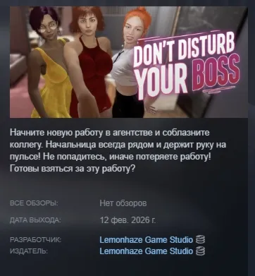 Don't Disturb Your BOSS АВТОДОСТАВКА STEAM РОССИЯ