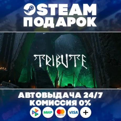 Tribute/МИР/АВТО/STEAM ПОДАРОК
